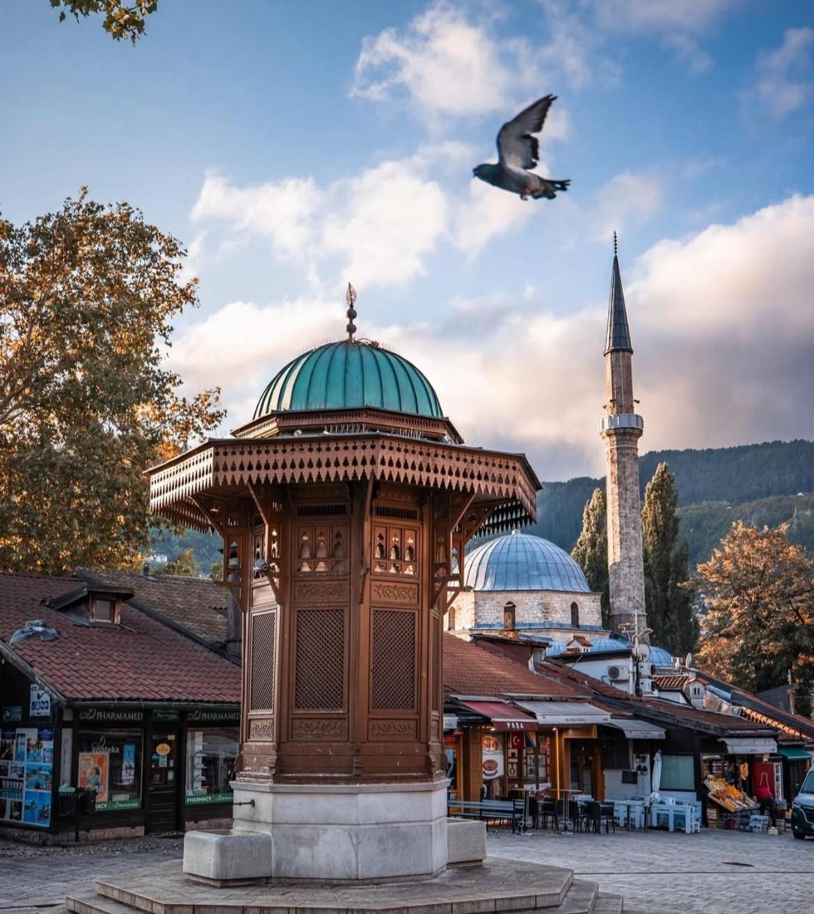 Nejra *